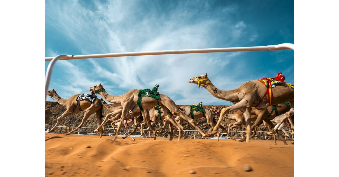 ALULA CAMEL RACE 1