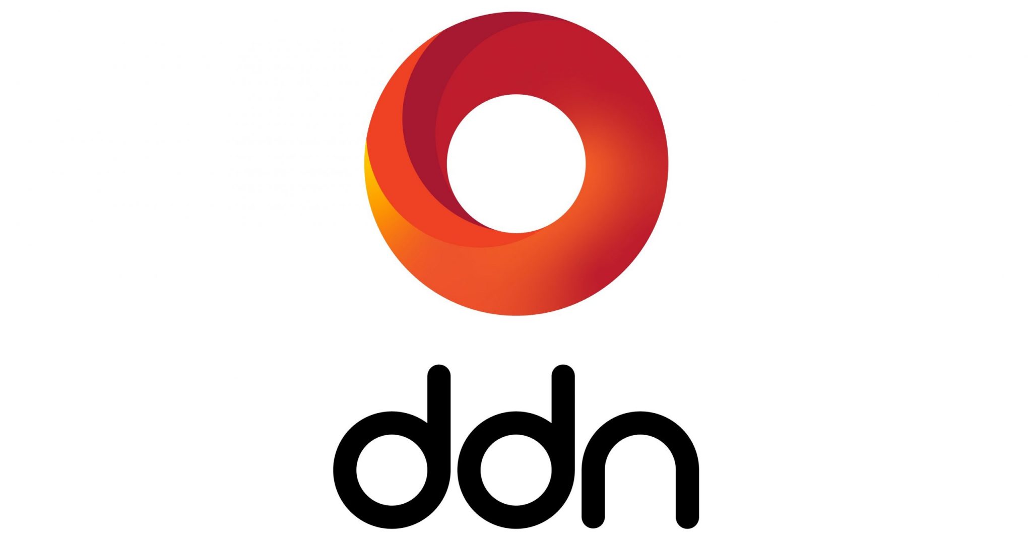 DDN Logo scaled