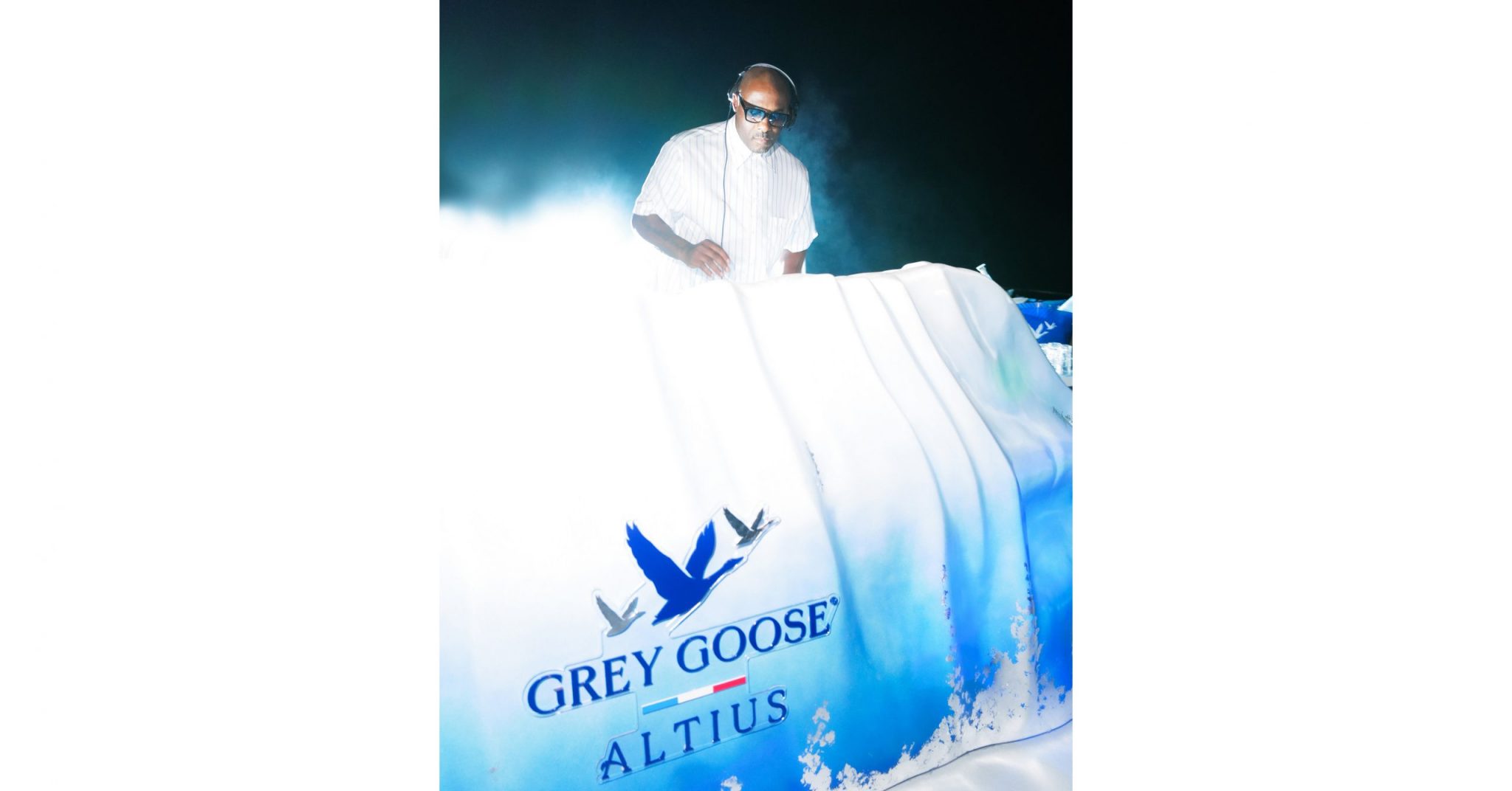 Grey Goose 1 scaled