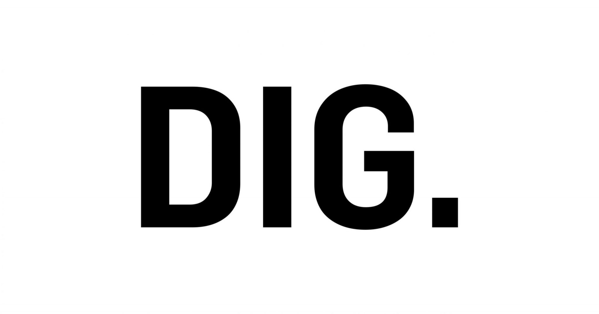 DIG Logo scaled