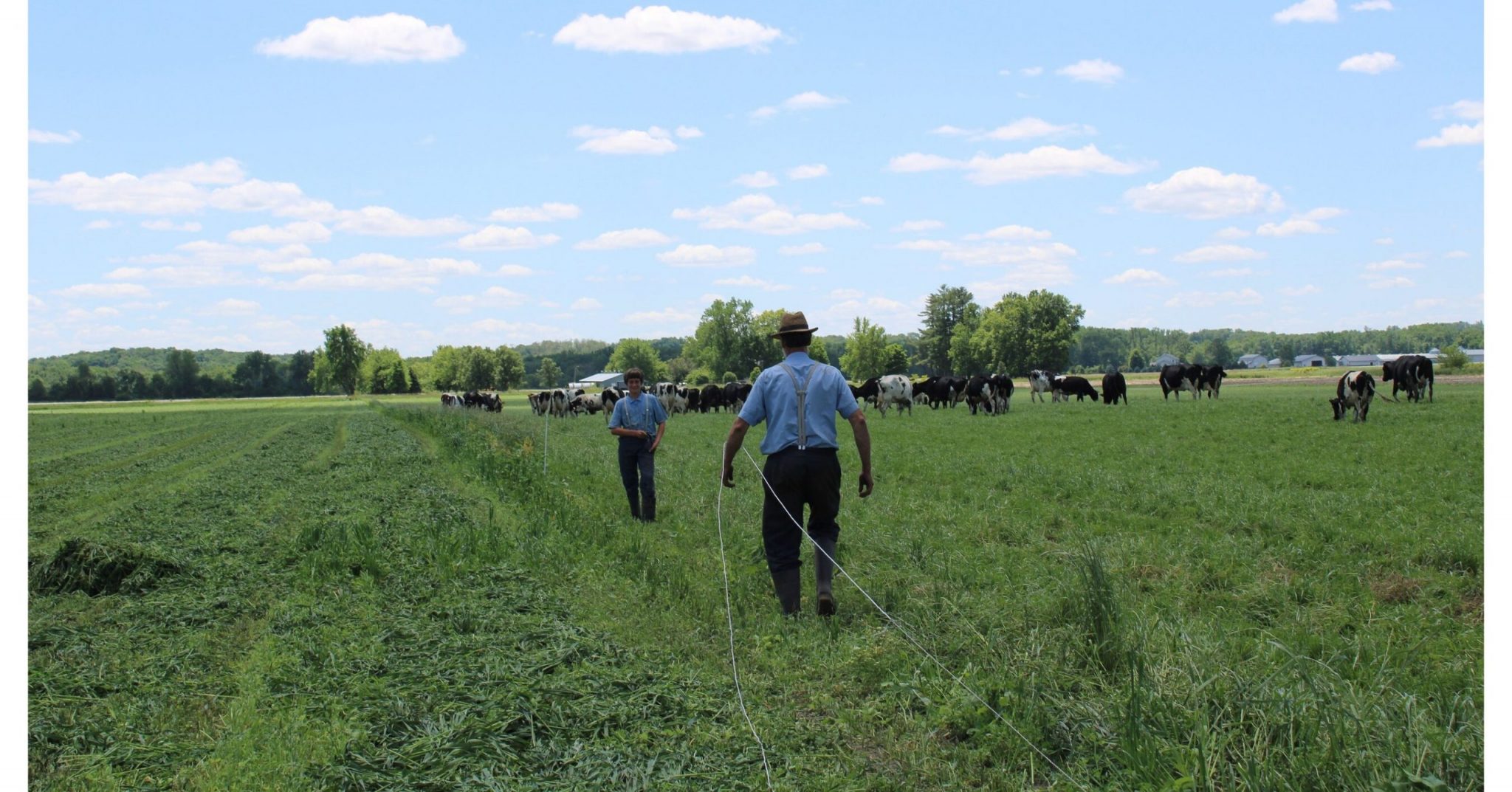 Organic Valley Fencing IA scaled