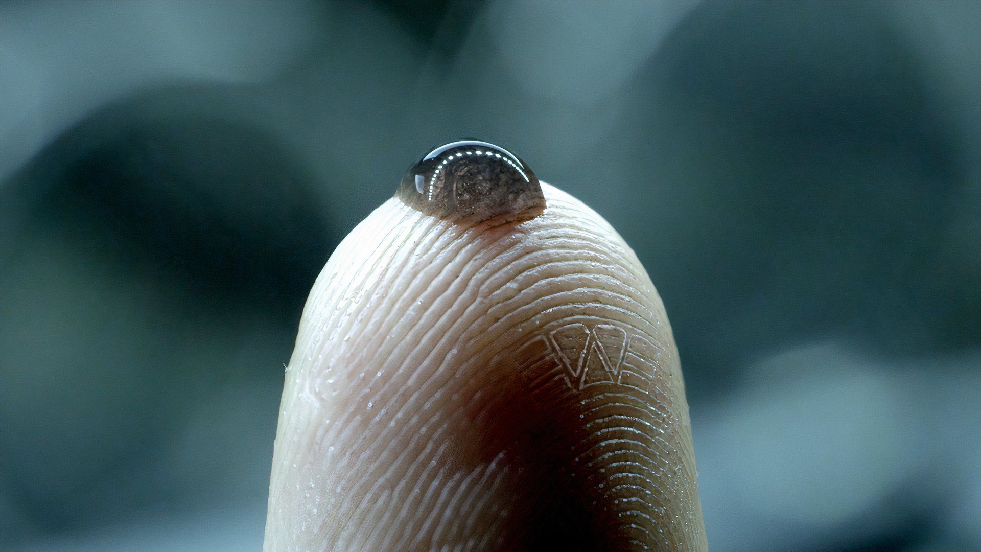black goo on a fingertip in the alien franchise from prometheus to romulus