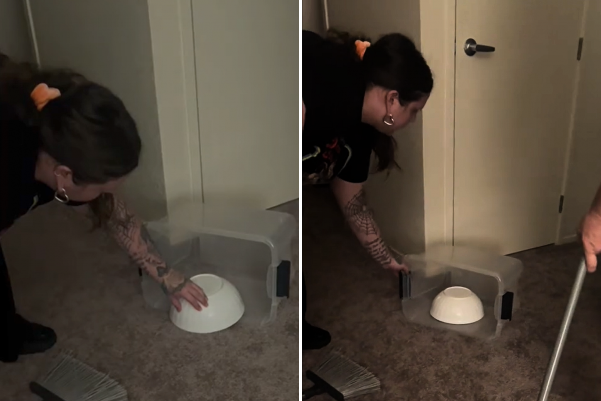 woman tries removing snake