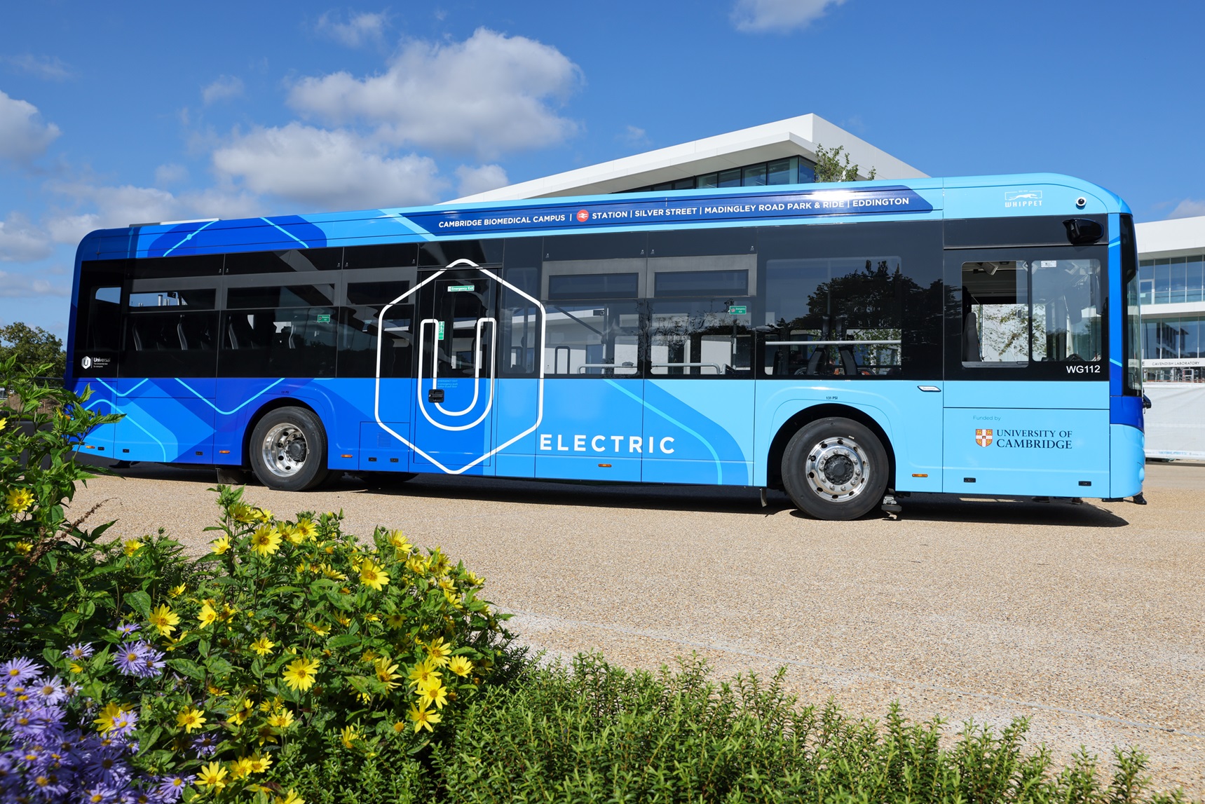 Ascendal Group body text 1