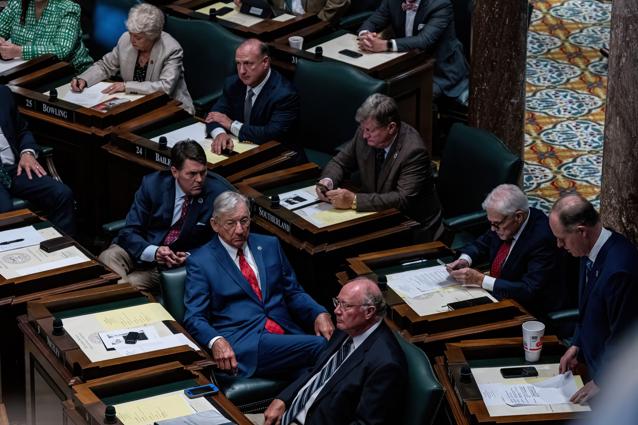 DSC03126 copy DeNoiseAI severe noise 2048x1366