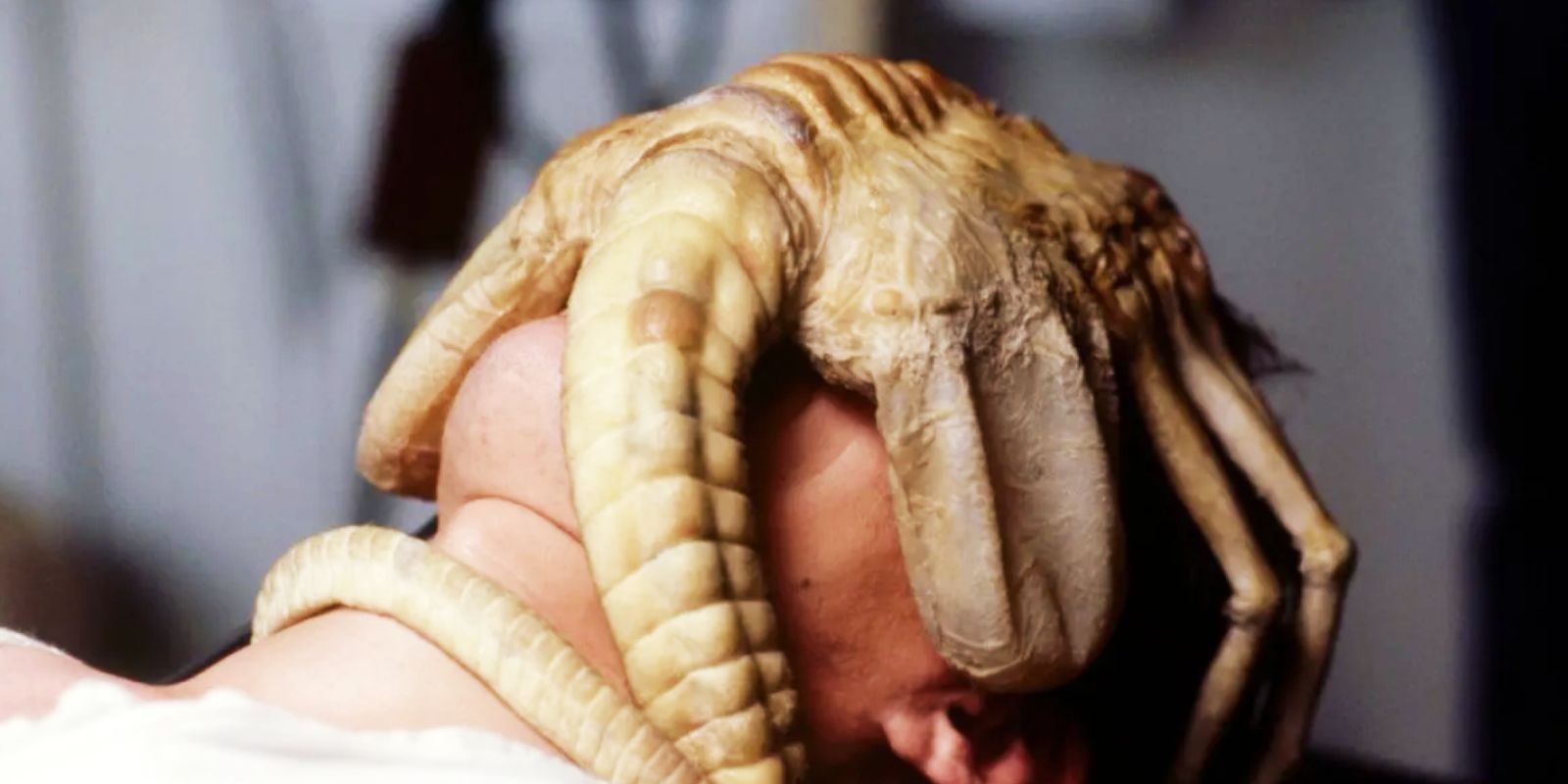 a facehugger latched onto someone s face in alien