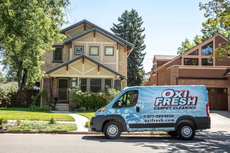 Oxi Fresh Carpet Cleaning