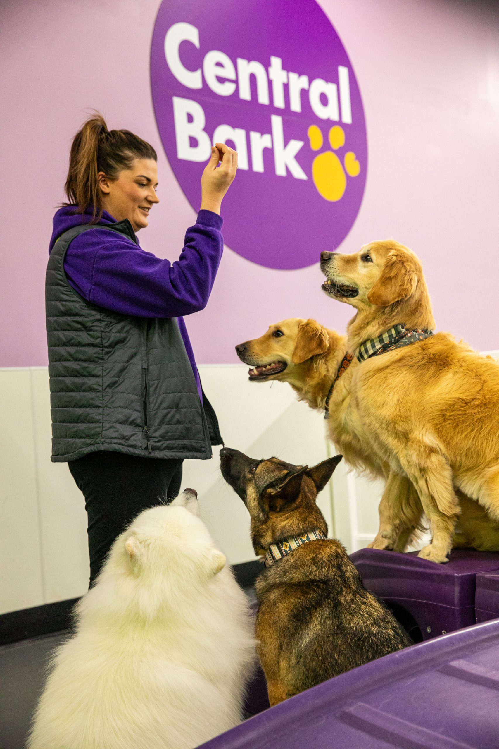 Central Bark Daycare