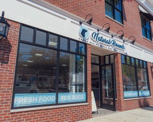 NaturalHounds By MarissaGPhotographyINC 2