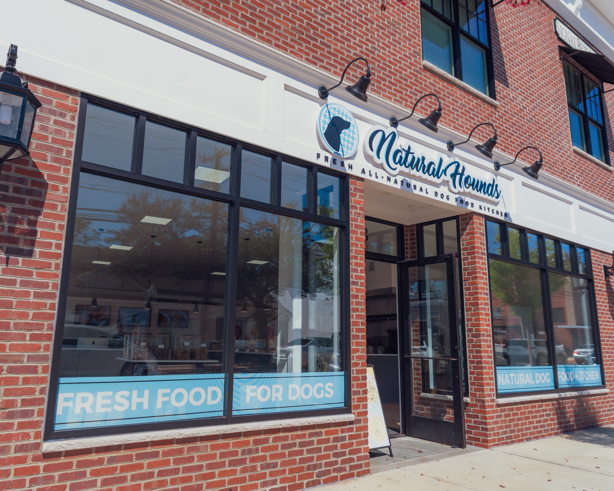 NaturalHounds By MarissaGPhotographyINC 2