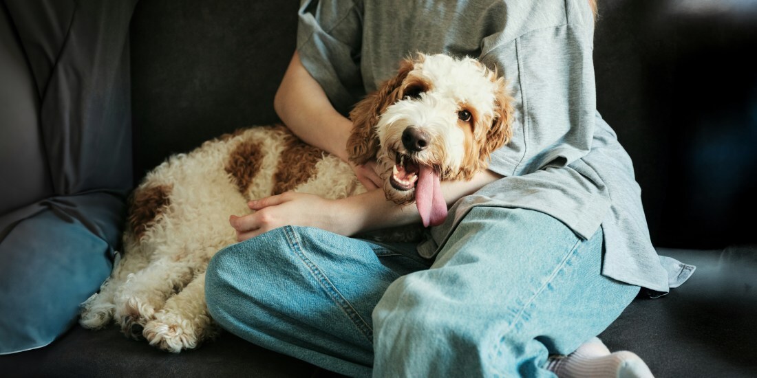 Sparkle Grooming Corp Expands into Jacksonville With New Multi Unit Franchisee