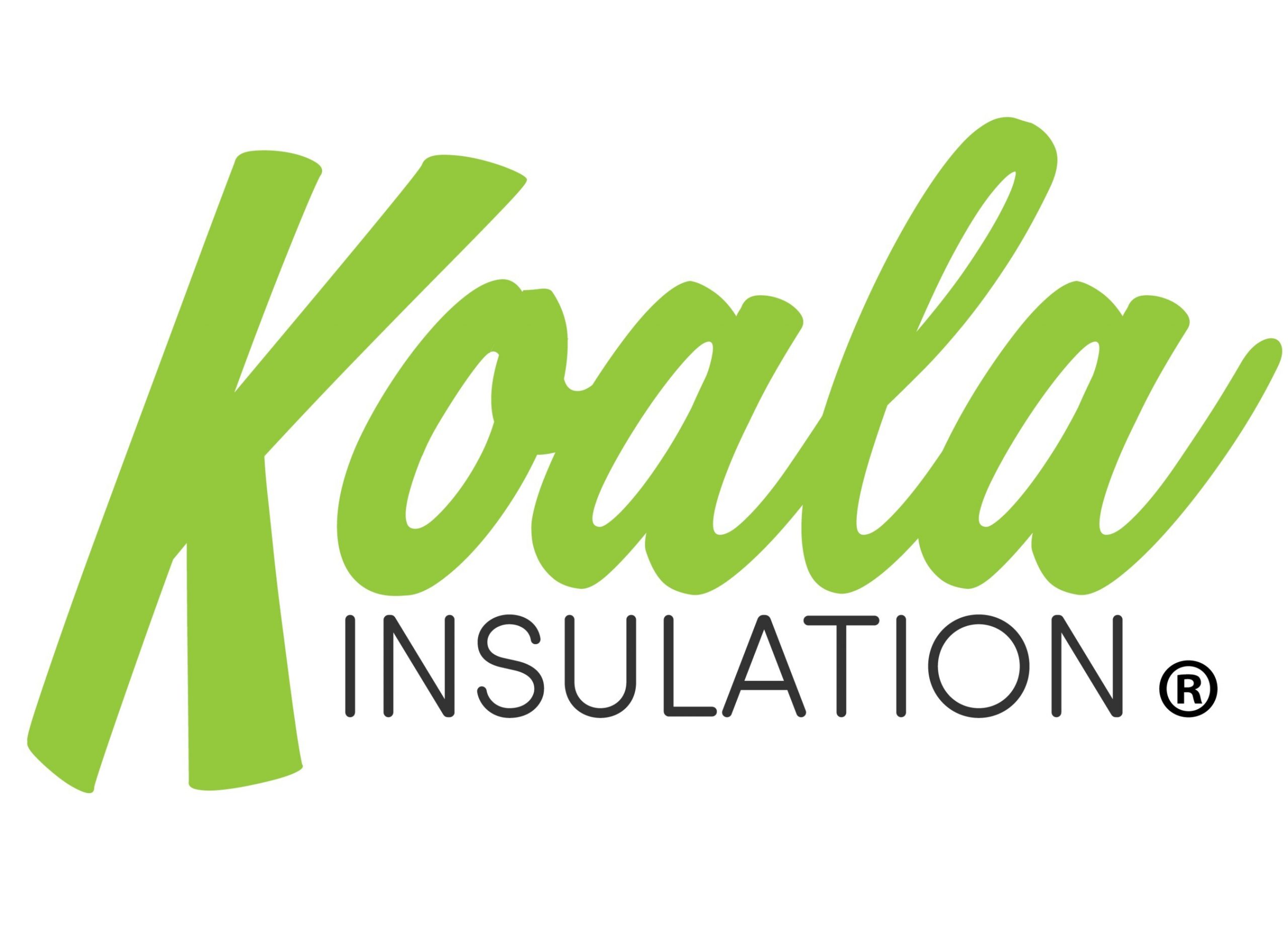 Koala Logo Koala Logo Color Logo