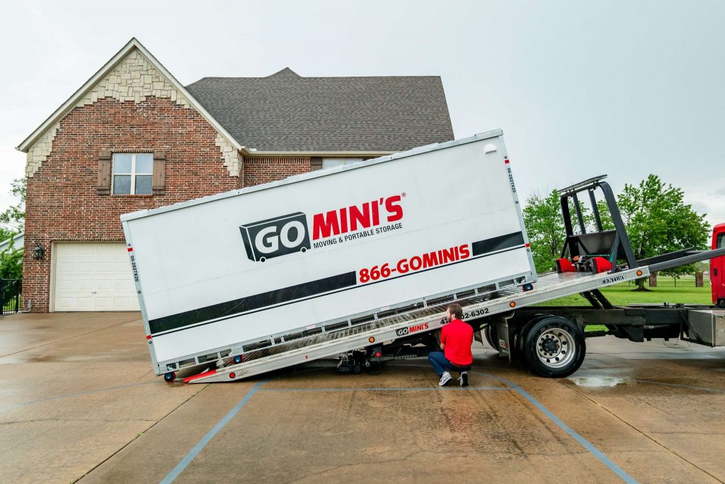 Go Mini delivery