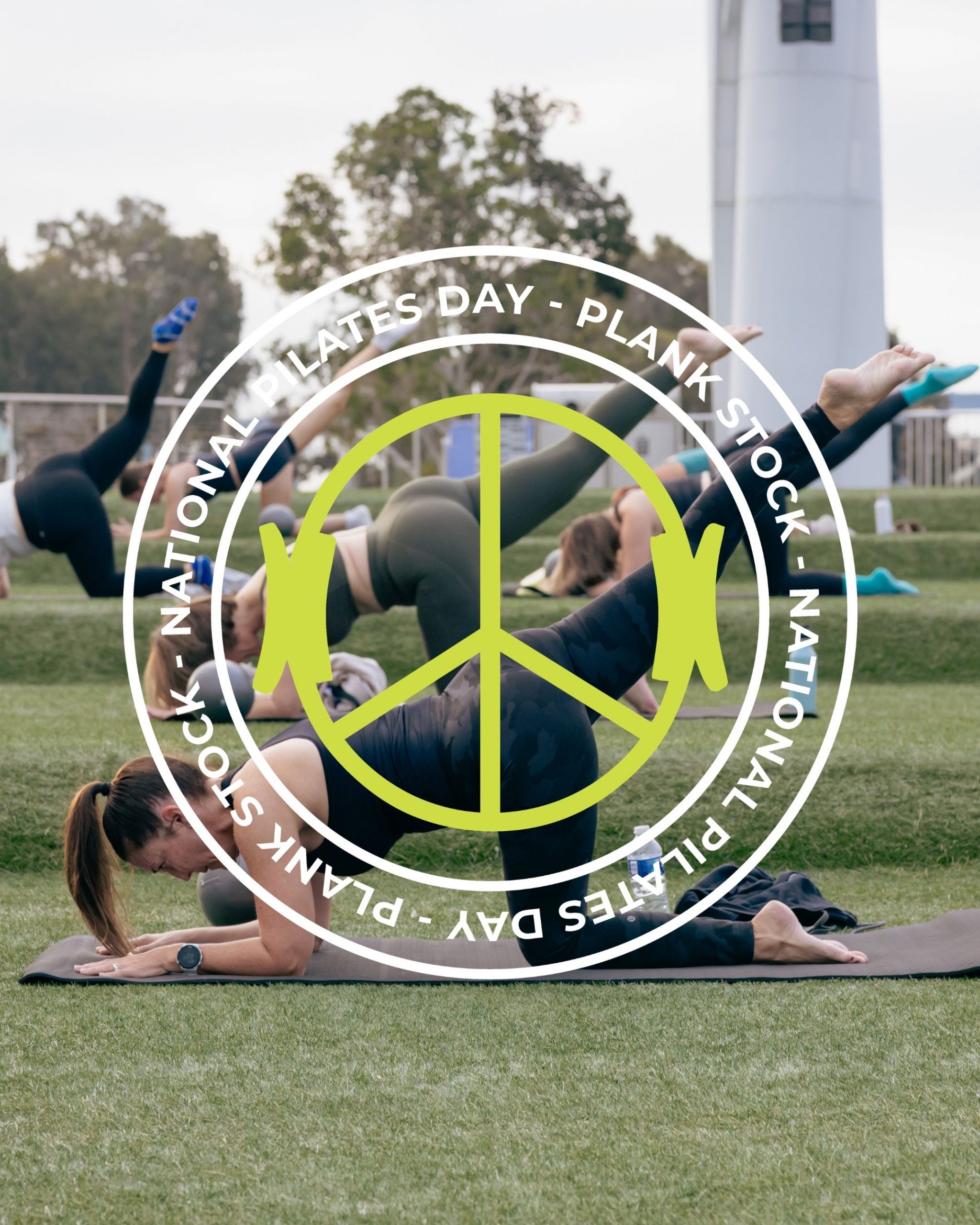 PLANKstock Image 1 BODYBAR Pilates